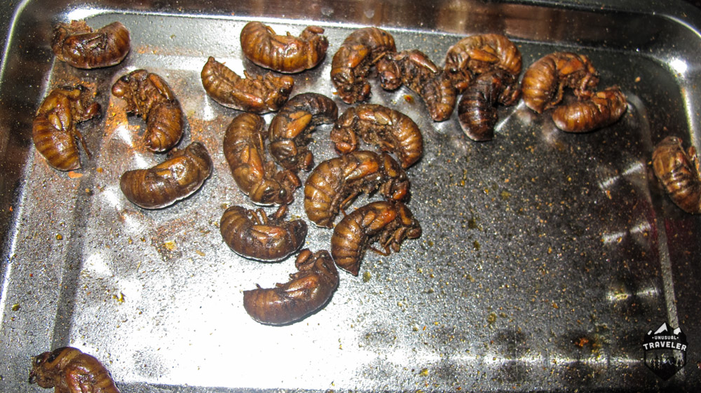 strange food to try in China, bugs