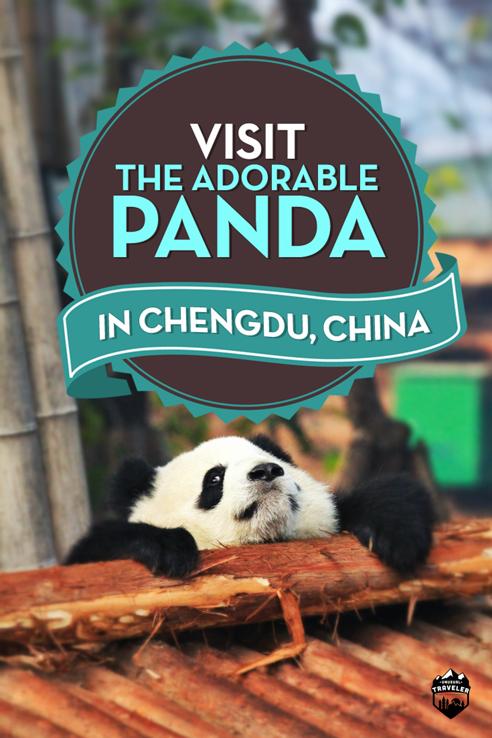 CITY GUIDE: CHENGDU