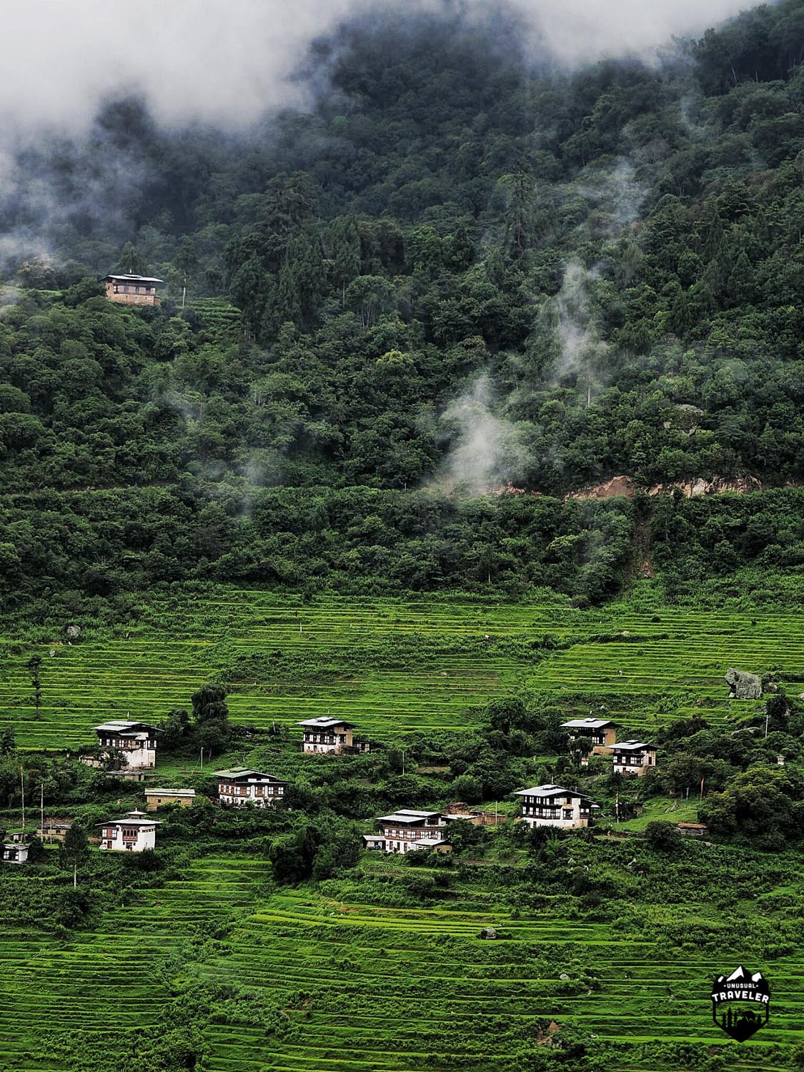 A normal village in Bhutan. So pure and green.
