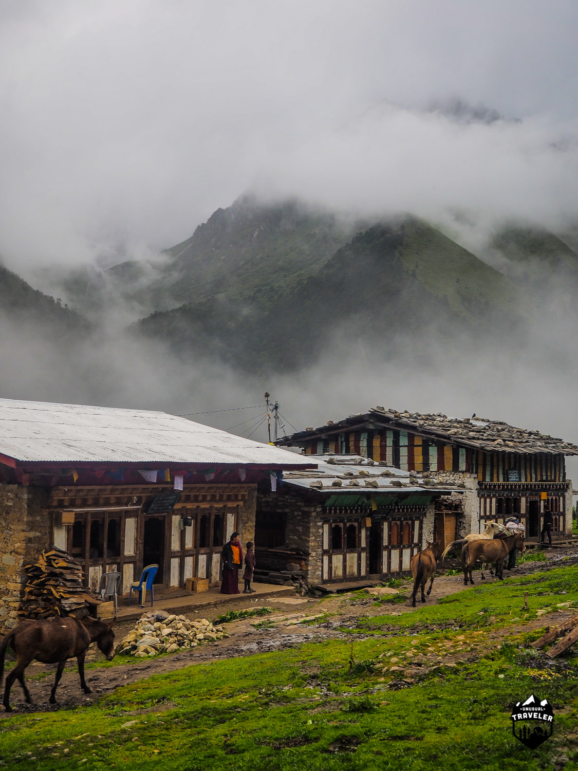 In far north Bhutan, here in Laya is the traffic by horses, no cars up here. The 3 buildings are all local bars