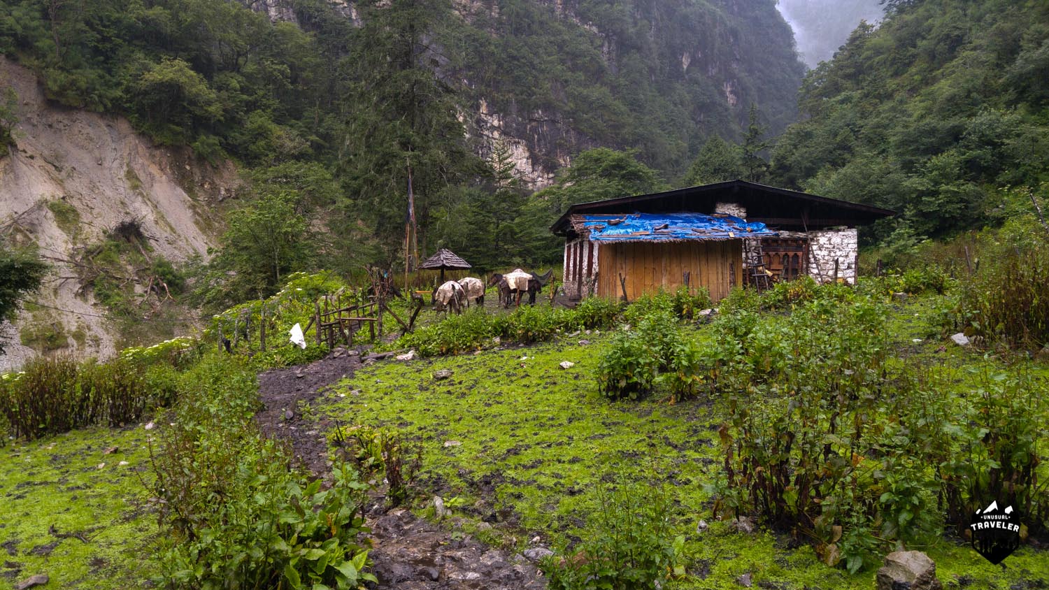 Bhutan,Trekking,Koina