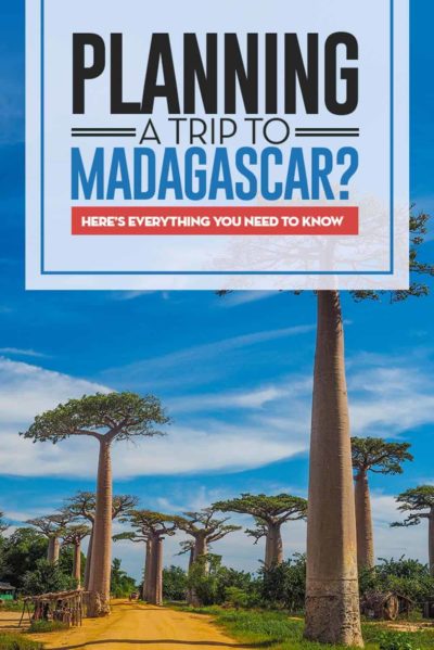 Travel guide to Madagascar home to Lemurs