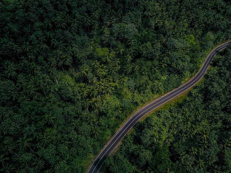 The road goes through an untouched forest in sao tome west africa