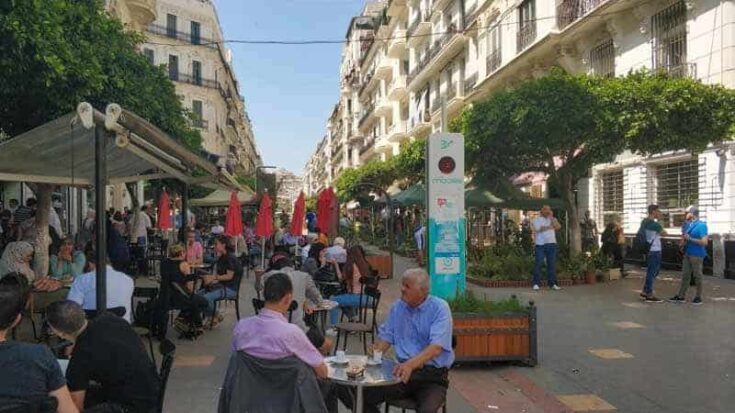 algiers algeria cafe