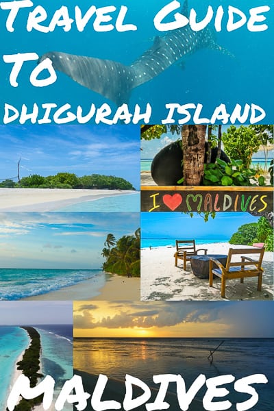 Travel Guide to Dhigurah island in the Maldives on a whim turned out to be every bit the exciting adventure I hoped for.underwater, diving,padi, whale shark