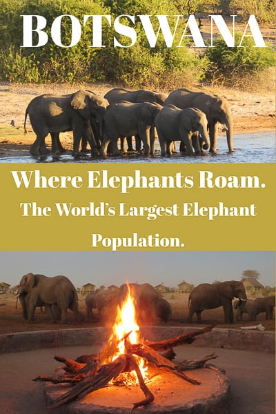 Botswana best place to see elephants in the world