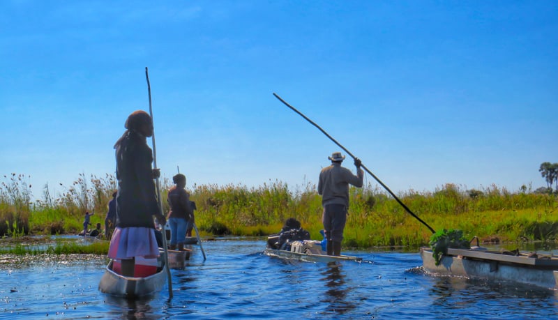 traveling the delta with Makoro , wodden canoes. Botswana