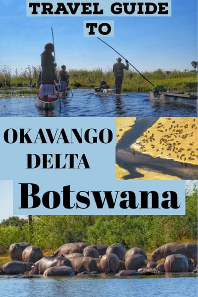 Travel Guide to Okavango Delta safari in Botswana 