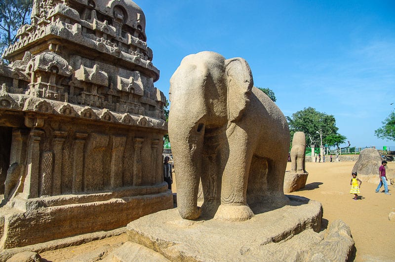 Stone carved Elephant in Pancha Rathas the most popular temple in Mahabalipuram south india