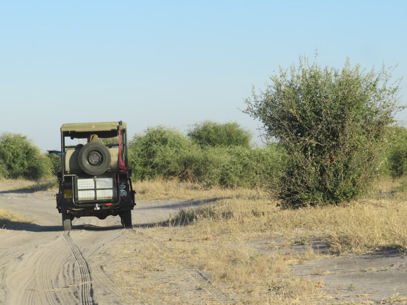 jeep safari chobe national park Botswana