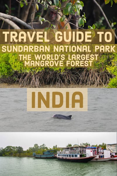 Travel Guide to Sundarbans National Park home to the world´s largest Mangroove forest, diver dolphins and the Royal Bengal Tiger. 