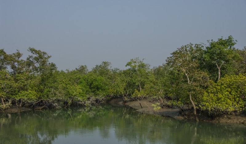 Sundarbans in india