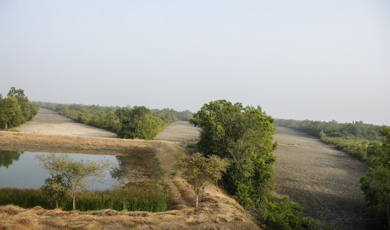 Water hole infront of one of the watch towers in Sundarbans