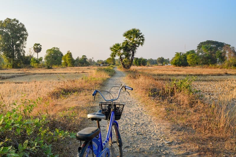 Laos Si Phan Don Cycling Paddy Fields Bicycle