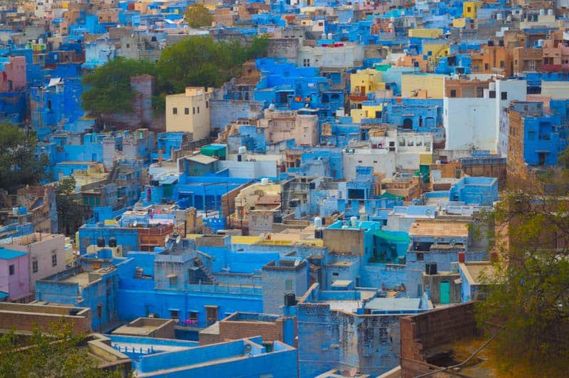 Blue houses in Jodhpur