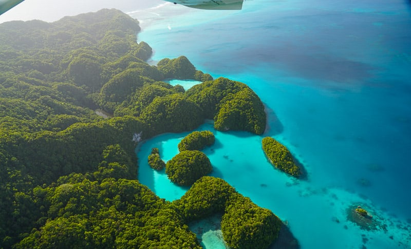 The Milky Way, one of the most popular daytrips to do in Palau, natural mud baths a must do