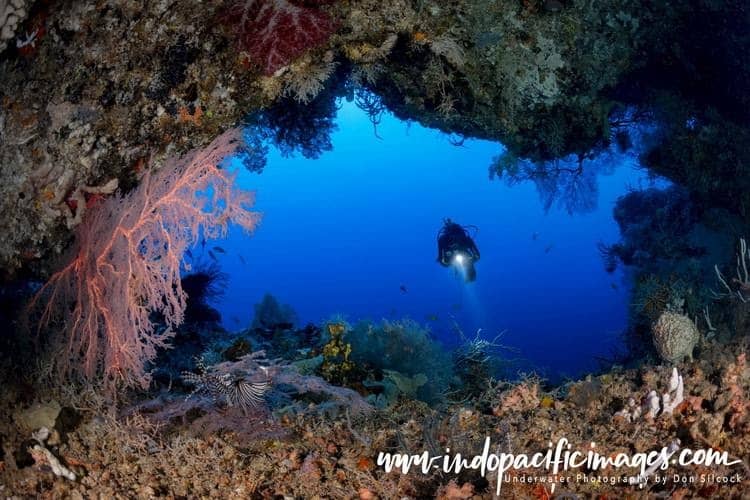 Diving guide to Papua new Guinea