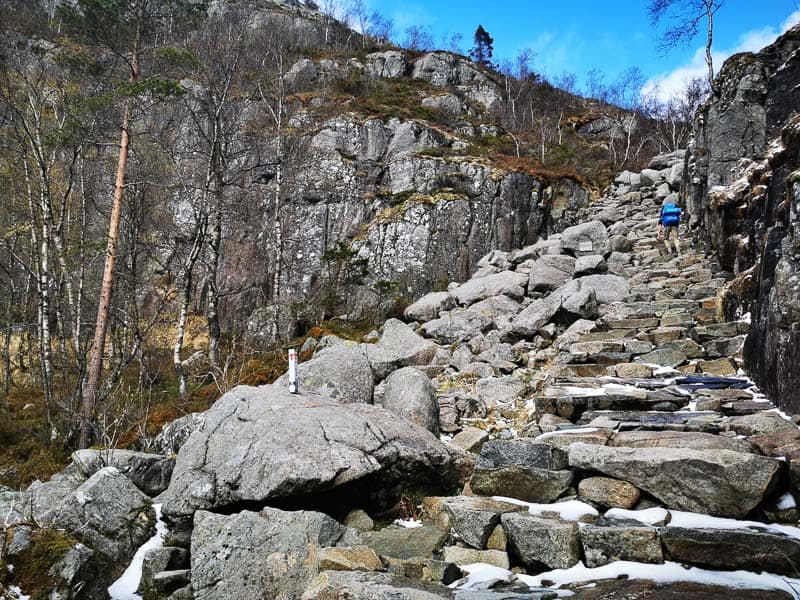 Preikestolen trail