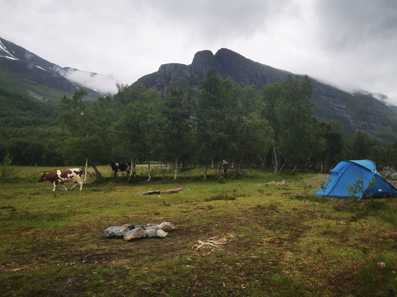Innerdalen camping