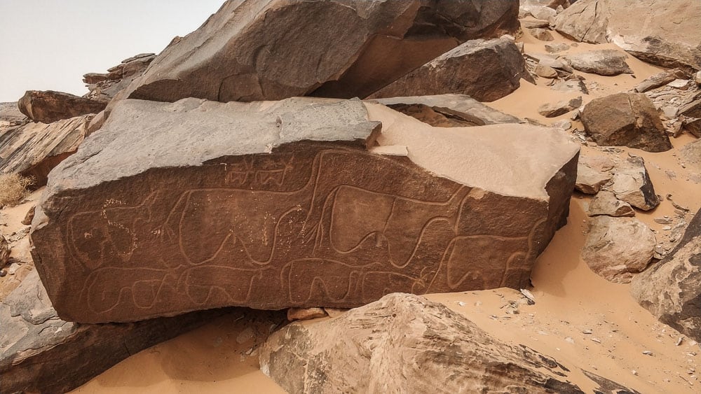Petroglyphs in Taghit Algeria