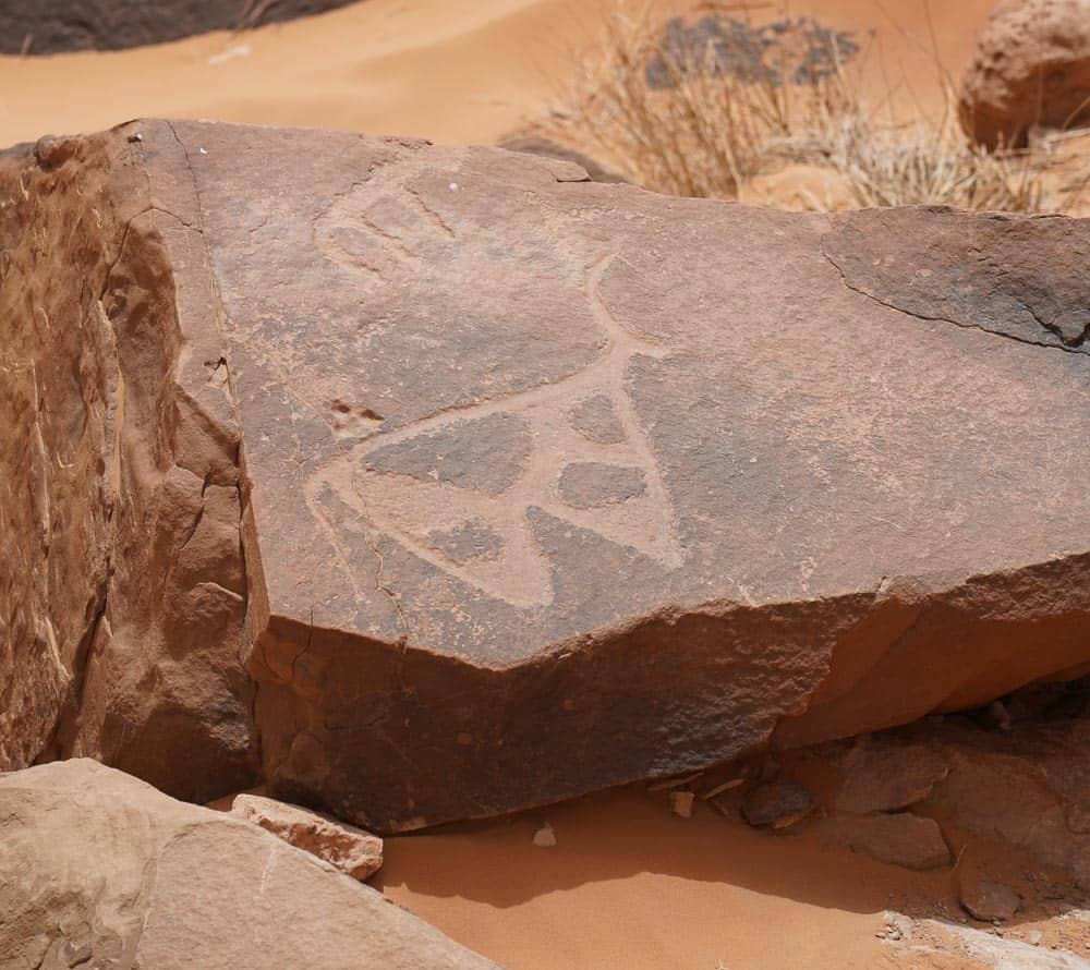 ROCK CARVINGS OF TAHTANIA/THE TAGHIT PETROGLYPHS. in algeria