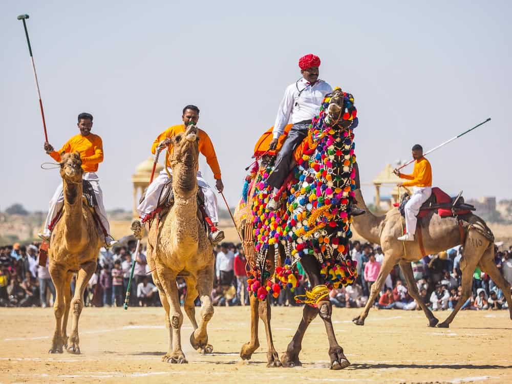 Camel polo Jaisalmer Desert Festival