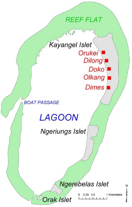 Kayangel map
