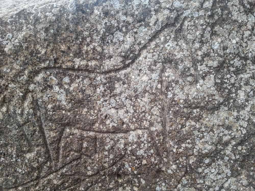 Petroglyphs at Gobustan National Park baku
