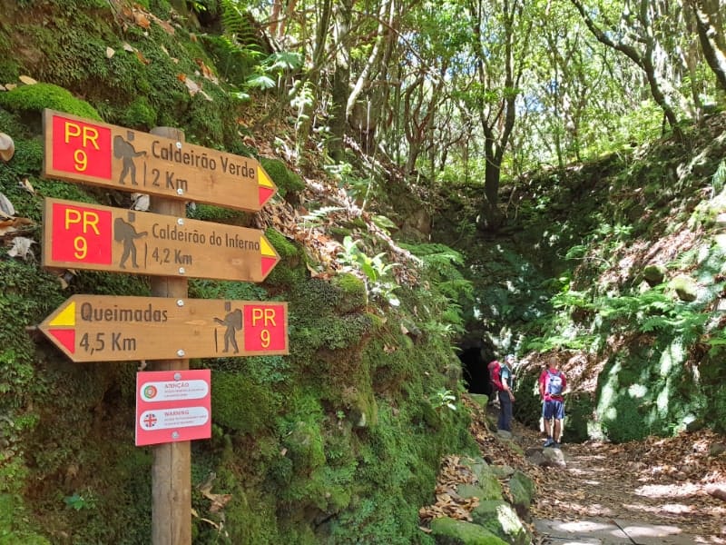 Madeira hiking