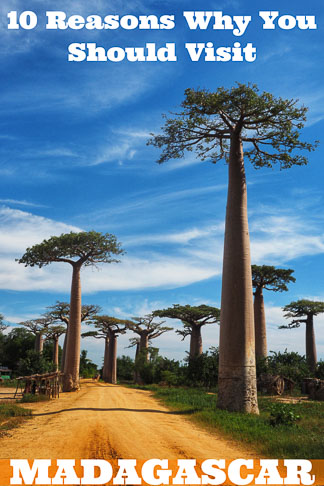 10 reasons you should visit Madagascar