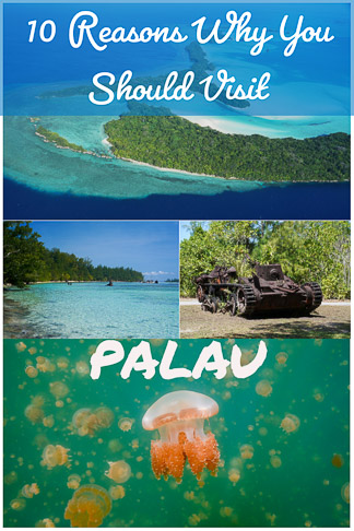 10 Reasons Why You Should Visit Palau