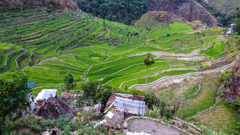 Batad Rice Terraces in April