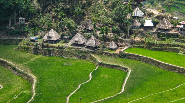 Banaue Rice Terraces