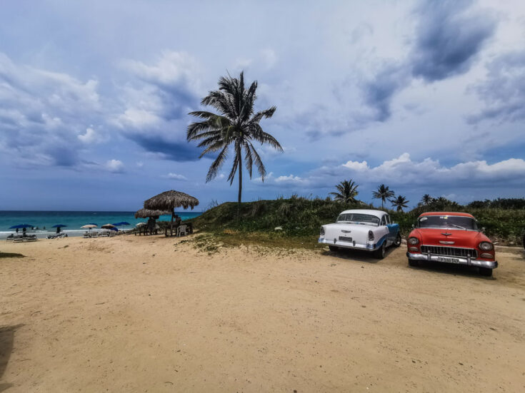 Golden sandy beach with palm trees in Havana, Cuba